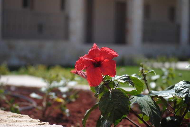 Magnolia Resort (Adults Only) كاتيليوس المظهر الخارجي الصورة